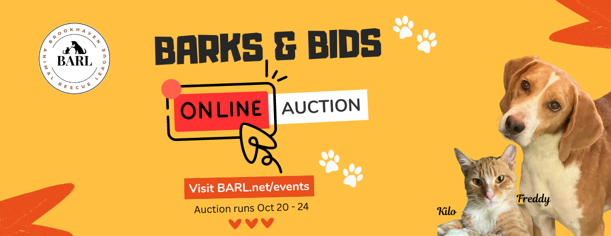 Barks & Bids Online Auction 2024